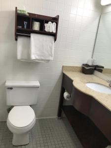 中心城市CCI Express Inn的浴室设有卫生间、水槽和毛巾