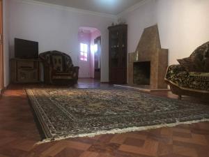 博尔若米Мзетамзе 59的一间设有地毯和壁炉的客厅