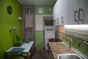 敖德萨Odessa Heart的厨房设有绿色的墙壁、水槽和柜台。