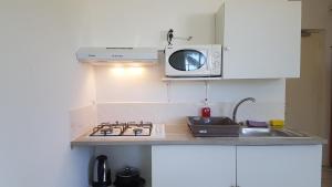莫雷阿Apartment Studio Halfon的厨房配有炉灶和微波炉。