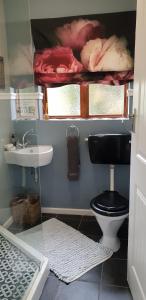 斯泰伦博斯Cobie Apartment的一间带卫生间和水槽的小浴室