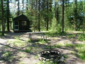 潘纳克尔冰川天堂旅馆的树林中的小屋,配有野餐桌和火坑