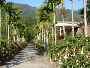 玉里镇加家民宿的一条由棕榈树和鲜花组成的步道