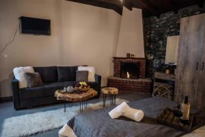 帕雷斯阿吉萨那Guesthouse Nefeli的带沙发和壁炉的客厅