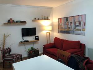 布宜诺斯艾利斯Small & Comfortable Apartment in Palermo的客厅配有红色沙发和电视