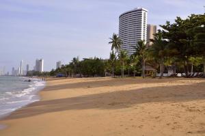 纳仲天阳光海滩公寓的棕榈树海滩和高楼