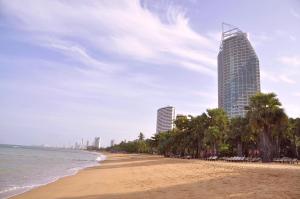 纳仲天阳光海滩公寓的棕榈树海滩和高楼