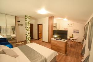 波德戈里察Korzo apartmani的配有一张床和一台平面电视的酒店客房