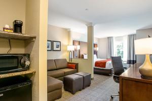 菲什基尔Comfort Suites Fishkill near Interstate 84的酒店客房设有一张沙发和一张床