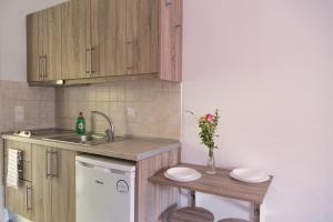 维塔拉戴斯安特塔别墅旅馆的一间带水槽和洗碗机的小厨房