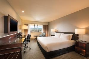 阿德莱德斯坦福德阿德莱德广场酒店的配有一张床和一张书桌的酒店客房
