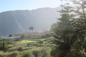 拉奥罗塔瓦Casa Laura的山丘上棕榈树山的景色