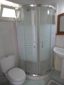 蒂锡利维罗勒别墅酒店的带淋浴、卫生间和盥洗盆的浴室