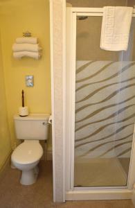索尔兹伯里维多利亚旅舍的一间带卫生间和淋浴的浴室