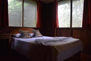 PillcopataManu Gallito de las Rocas的一间卧室配有带2个枕头的床和2个窗户。