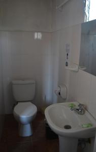 PillcopataManu Gallito de las Rocas的浴室配有白色卫生间和盥洗盆。