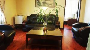 坎帕拉Fang Fang Hotel的客厅配有沙发和植物桌子