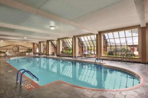 绿湾绿湾凯悦酒店的一座带窗户的大型游泳池