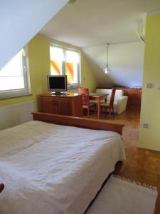 Šoštanj阿佩特乡间民宿的一间卧室配有一张床和一张桌子及电视