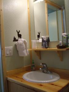 潘纳克尔冰川天堂旅馆的浴室的柜台设有水槽和镜子