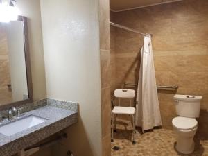 安纳海姆阿纳海姆迎宾套房旅馆的一间带卫生间、水槽和镜子的浴室