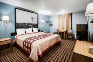 埃尔克城艾克城速8酒店的配有一张床和一台平面电视的酒店客房
