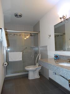 Brookfield科珞倪汽车旅馆的浴室配有卫生间、淋浴和盥洗盆。