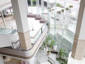 仙台仙台国际酒店的植物丛中楼梯的顶部景色