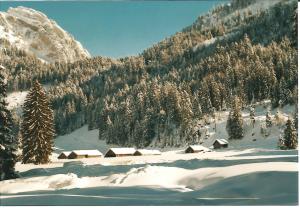 Alt Sankt JohannFerienhaus Gubel的雪覆盖的山中,有房子和树木