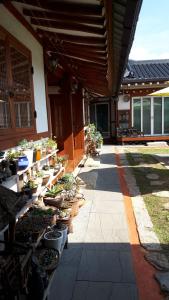 庆州Hanok Raon的种植了盆栽植物的庭院和建筑