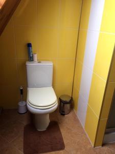 Novyye PetrovtsyGuest house on Ivana Franka的黄色墙壁上的浴室设有卫生间