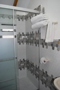 Comunidad YumaniWiñay Inti Lodge的带淋浴的浴室和玻璃门