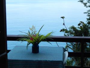 阿拉夏奇巴海滩马尔松霍斯旅馆的坐在阳台上桌子上的盆栽植物