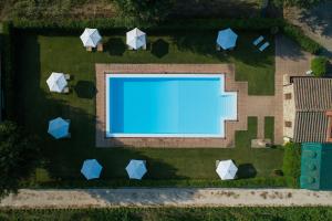 阿雷佐里肯帕内酒店的享有庭院游泳池的顶部景色