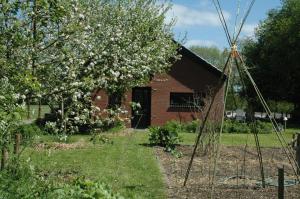 ZevenhuizenGastenverblijf Op het Graveland的院子里有一棵白花树的房子