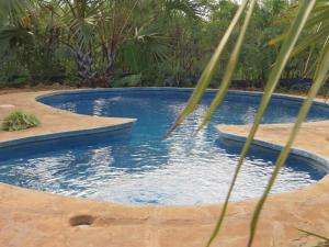 迪亚尼海滩Bahati Diani House Glamping的前方的游泳池,有棕榈树