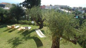 阿普索斯Nefele's Apartments的一组草坪椅和一棵橄榄树