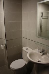 拉利内阿-德拉康塞普西翁卡洛斯2旅馆的一间带卫生间和水槽的浴室