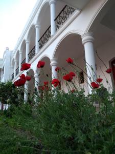 卡法亚特Hotel Portal del Santo的一群红色的花在建筑物前