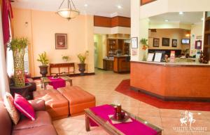 马尼拉市中市白骑士酒店的带沙发的大堂和酒店酒吧