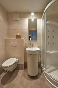 采尔马特Haus Bor的浴室配有卫生间、盥洗盆和淋浴。