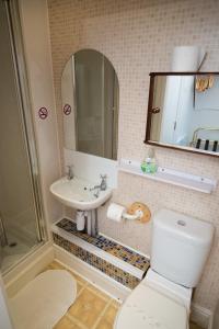 格兰奇奥沃桑茨萨默塞特宫住宿加早餐酒店的一间带卫生间、水槽和镜子的浴室