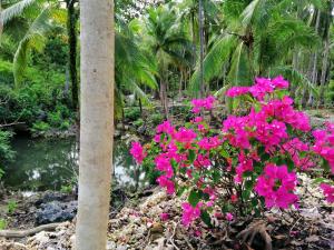 安达安德倪多特花园度假村的花柱旁的一束粉红色的花
