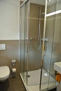 盖尔绍盖尔绍图比利酒店的带淋浴和卫生间的浴室