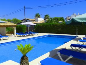卡拉菲格拉Apartaments Marina Sol i Pins的一个带蓝色躺椅和棕榈树的游泳池