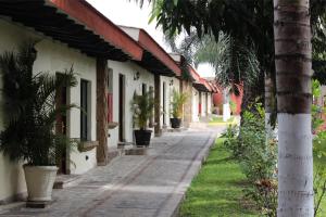 瓜达拉哈拉波萨达韦睿酒店的一条棕榈树环绕的街道