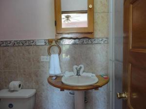 圣伊格纳西奥河畔公园酒店的一间带水槽、卫生间和镜子的浴室