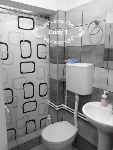 莱斯科瓦茨Dody Apartmani的浴室配有白色卫生间和盥洗盆。