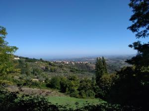 Montefiore Conca"CARA PACE" in collina per famiglie的从树木茂密的山顶上欣赏美景