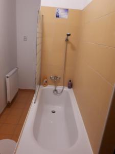 Útulný apartmán v Bratislava 6的一间浴室